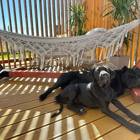 בית נופש Krasne Morze מילנקו